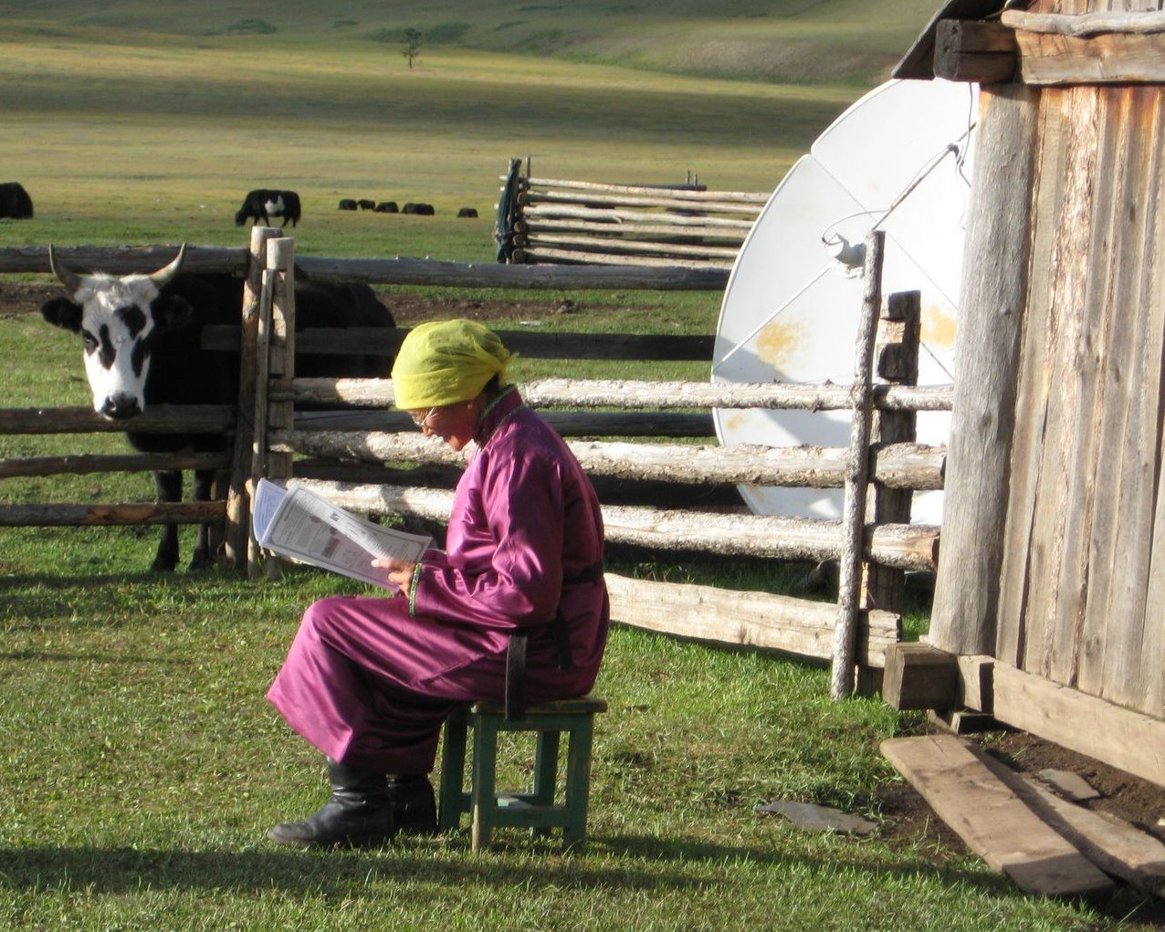 Mongolia Connection